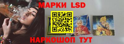 PSILOCYBIN Заводоуковск