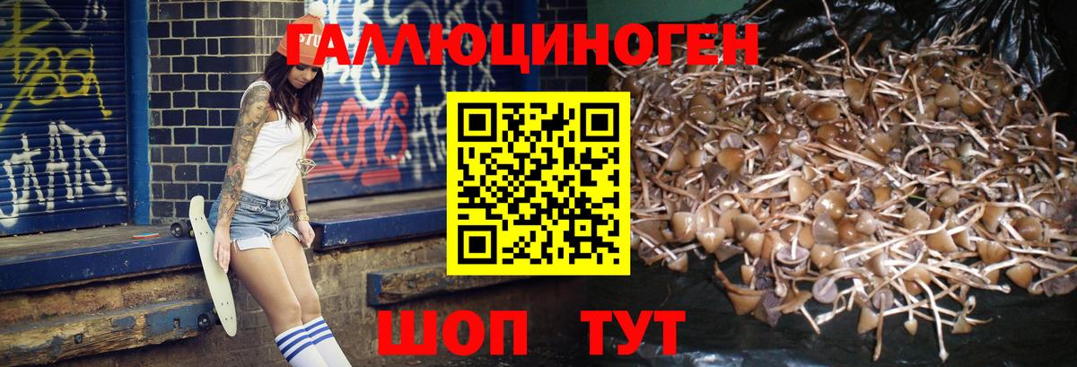 Новокуйбышевск  Псилоцибиновые грибы GOLDEN TEACHER  Вход с VPN 